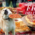 Doge free delivery