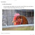 Why did the chicken cross the road ? Because it fuckin wanted to