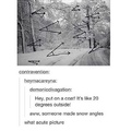 snow angles