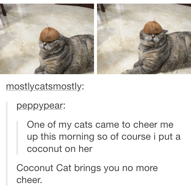 Cococat - meme