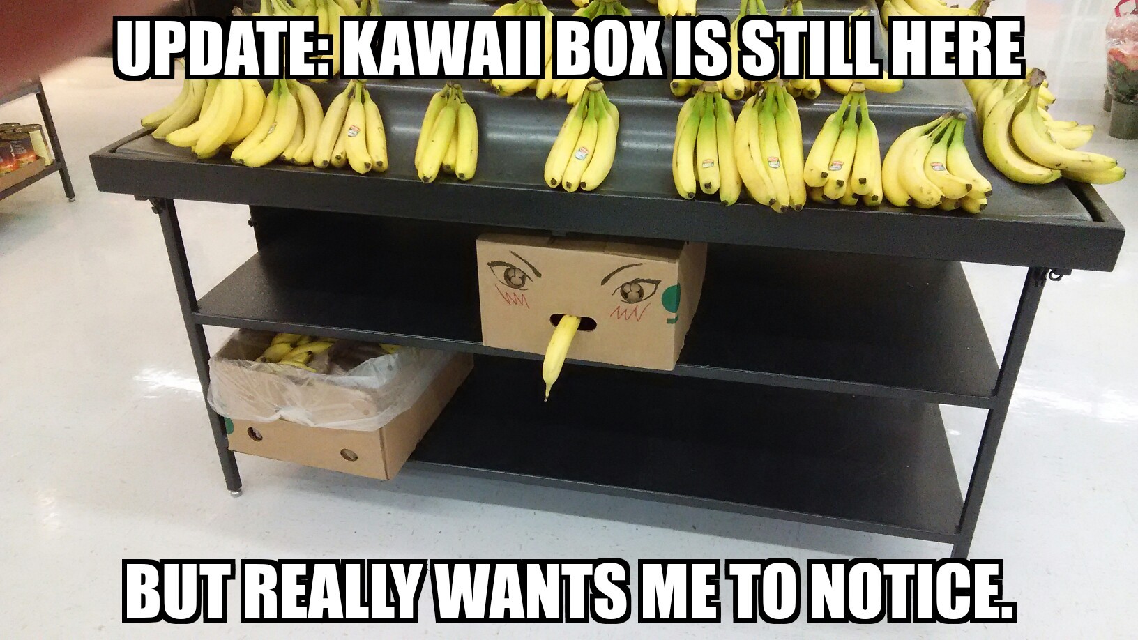 Kawaii box day 2 - meme