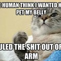 commented item thumbnail