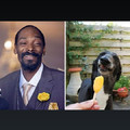 Snoop Dogg e "dog" :grin: