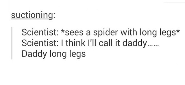 Daddy long legs memes