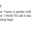 Daddy long legs are not actually spiders
