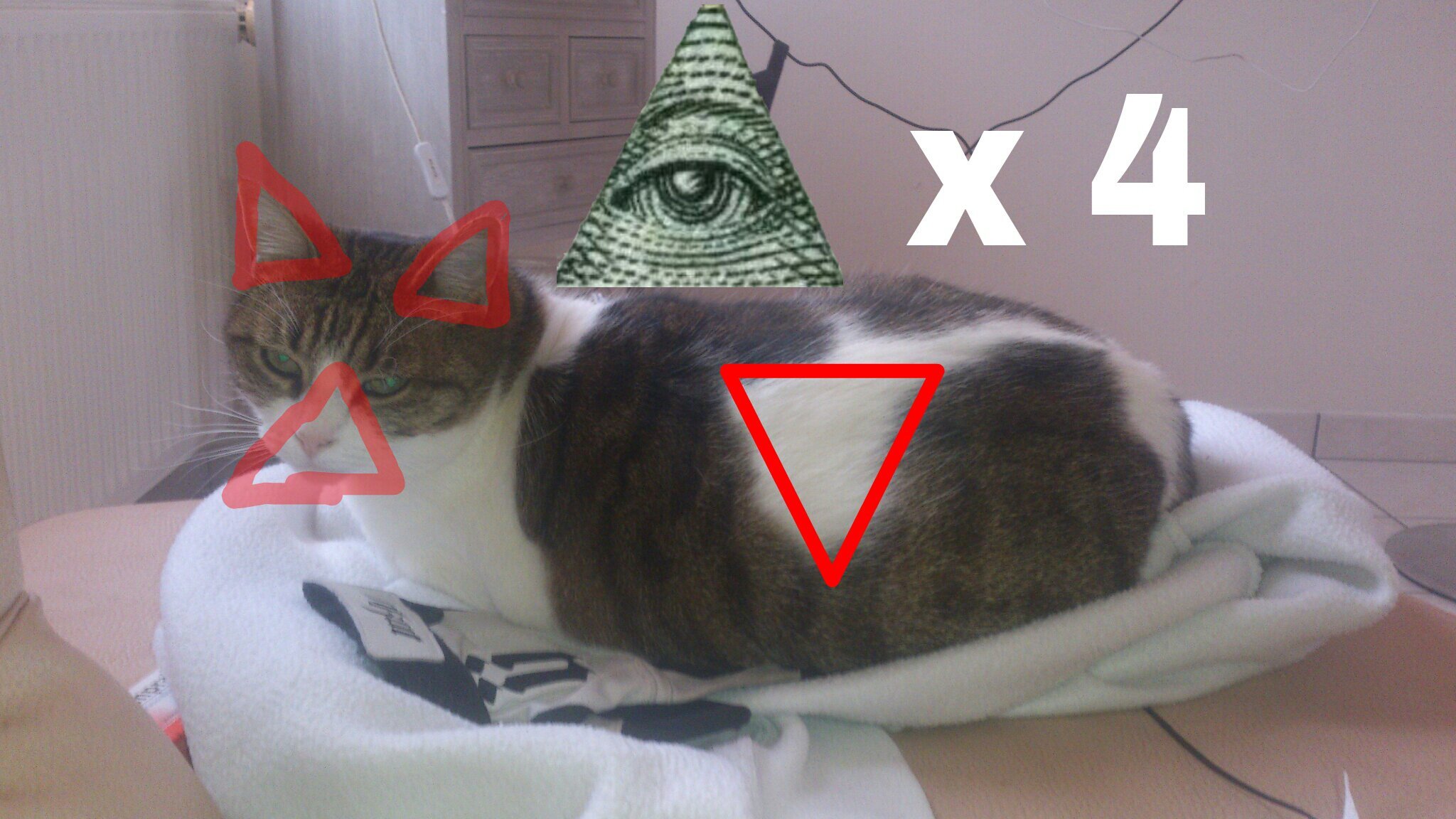 Mon chat est le roi des illuminati *o* - meme