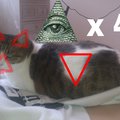 Mon chat est le roi des illuminati *o*