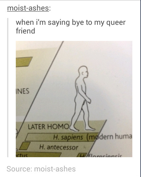 My homo is erectus. - meme