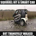 Well, I'm glad the squirrel did not get hurt