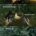 Skyrim is Awesome