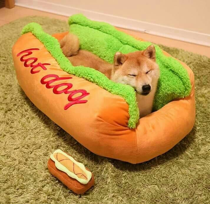 Hot doge, he nailed it - meme