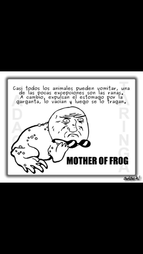 Mother of FROG - meme