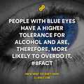 blue eye people
