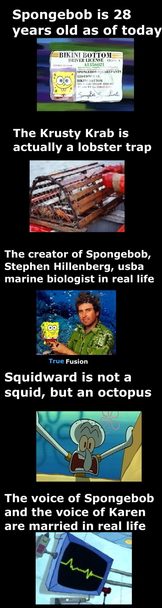 SpongeFacts - meme