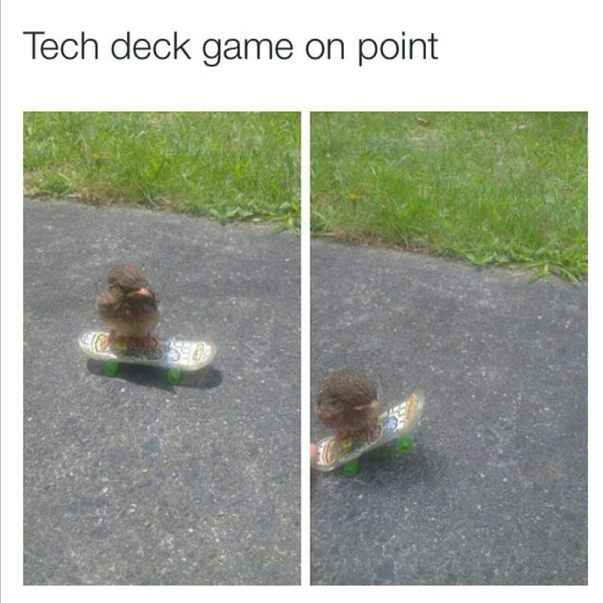 I always sucked at tech deck - meme