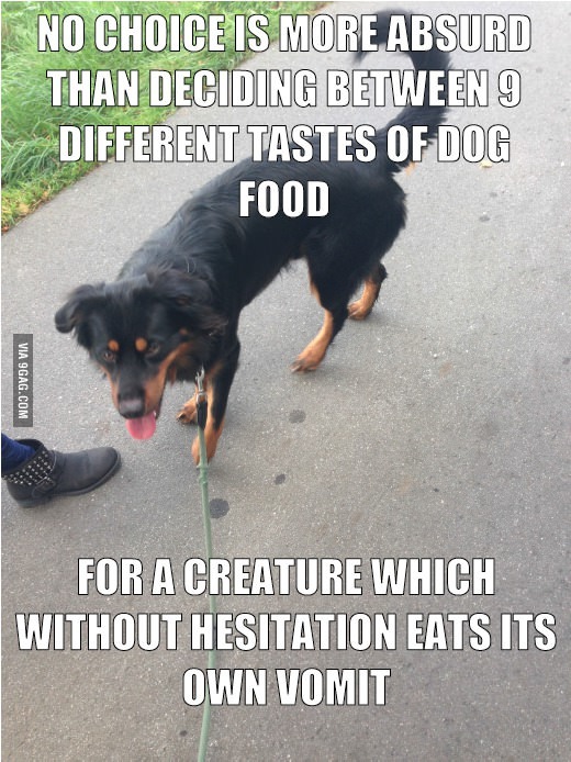 trannys Banging trannys is the best - Meme by NarwhalRage :) Memedroid