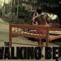 Après The Walking Dead ...