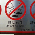 I will animals