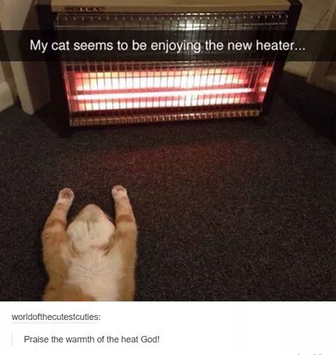 All Hail the heat god - meme
