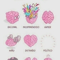 Cerebros