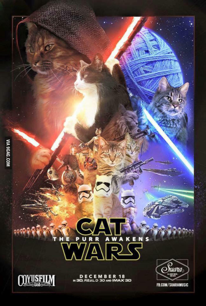 cat wars - meme