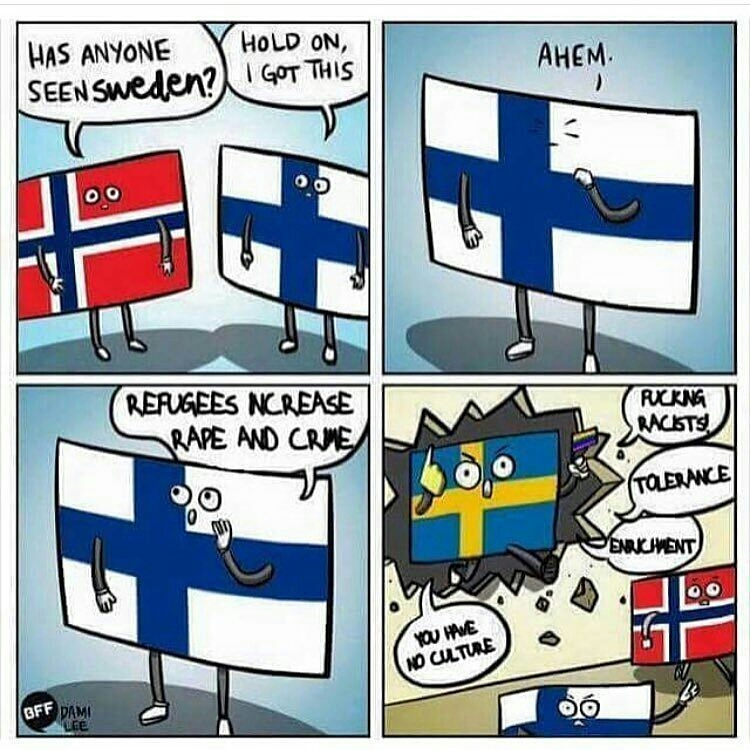 So true swedes are gay - meme