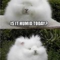 Humid or not humid ?