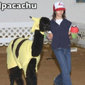 commented item thumbnail