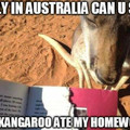 Thanks Kangaroo
