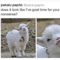I goat time for you..