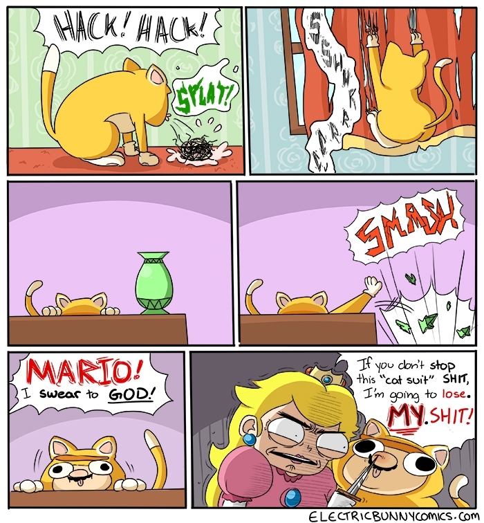 Mario is a dick head - meme
