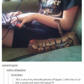 Slithering snake