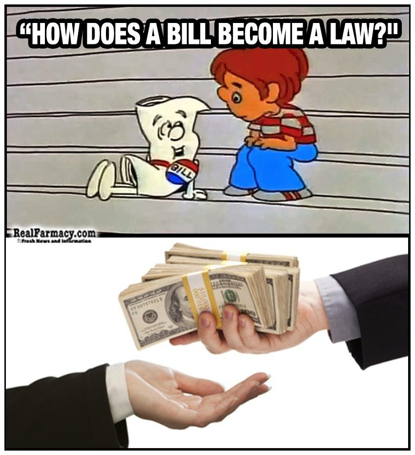 Government in a nutshell - meme