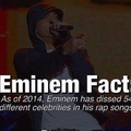 Eminem Fact
