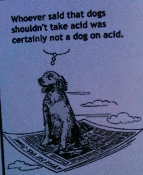 acid is good for you - meme