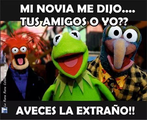 Amigos jajaja (sigueme y te sigo) - meme