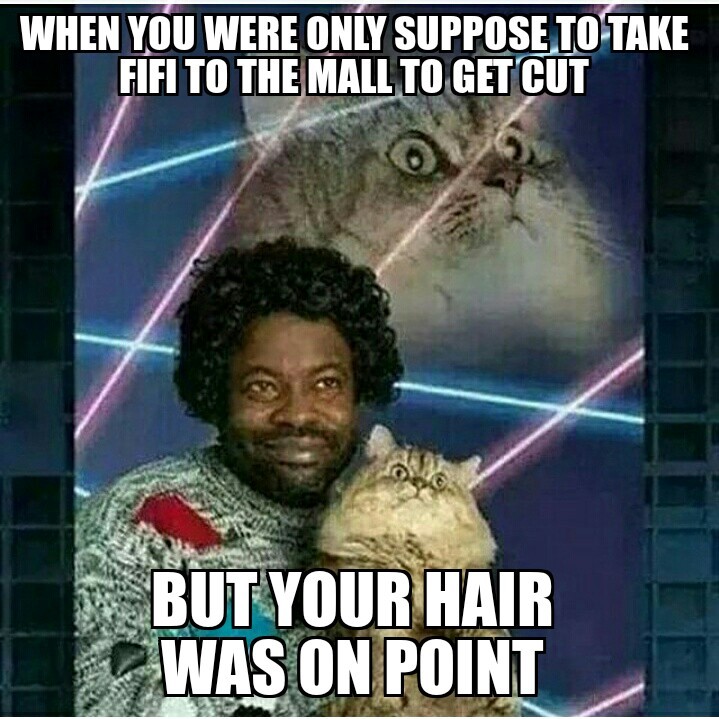 Hair game too strong - meme