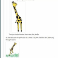 Giraffes with 2 legs