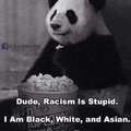 Title loves pandas
