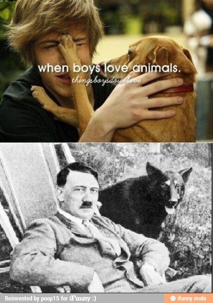 When boys love animals - meme