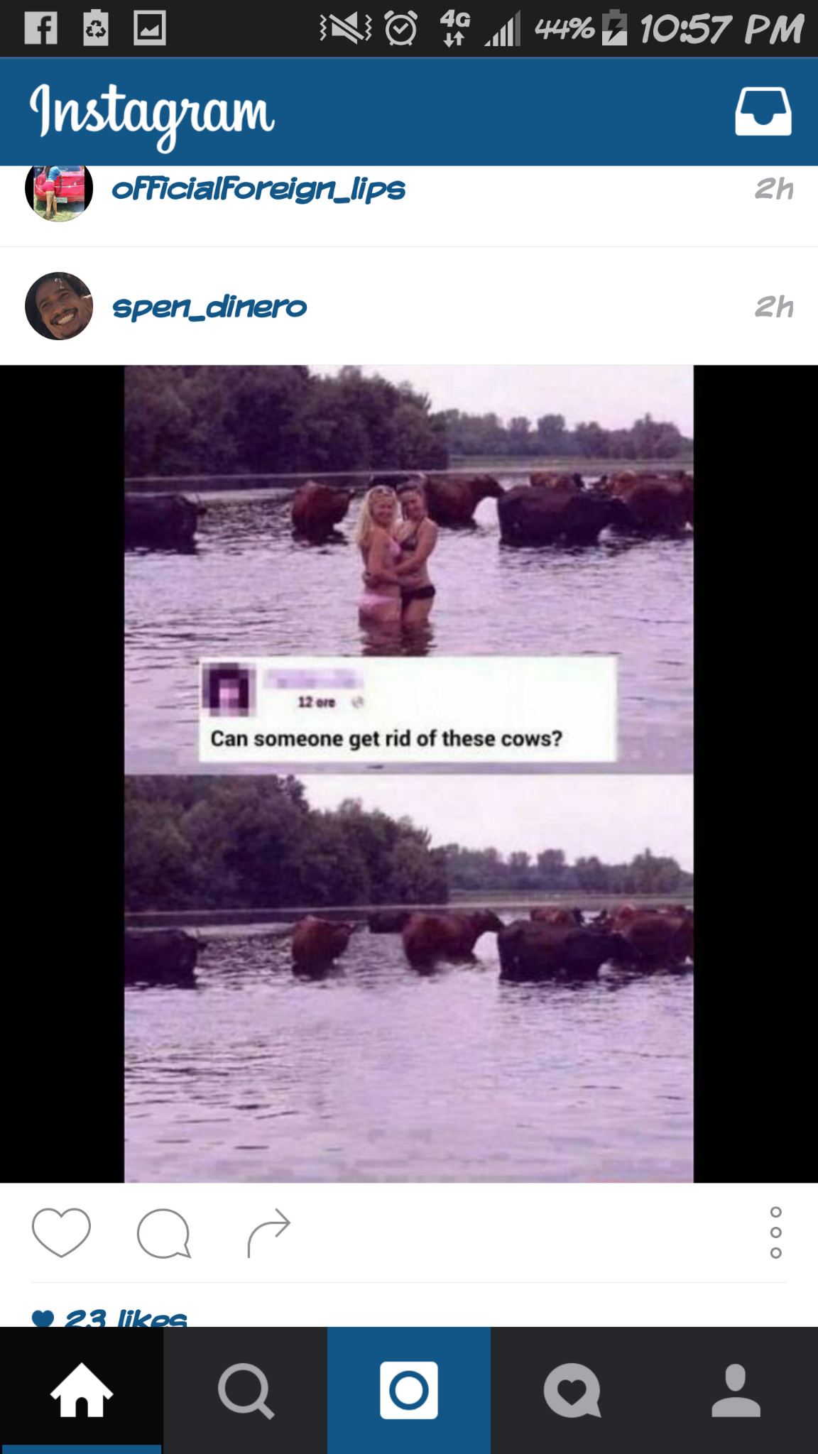 Feminist cows - meme