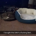 Cats are assholes
