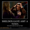 Sheldon and Amy, definitely better than Twilight