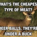 Deer Balls