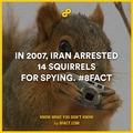 Smart squirrels