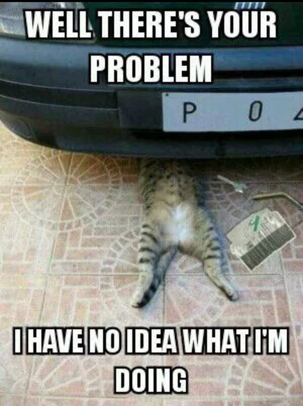 Cat mechanic - meme