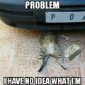 Cat mechanic