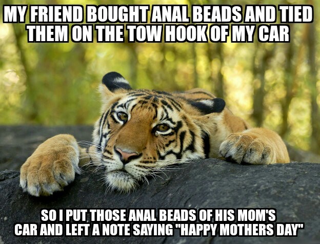 Dont attach anal beads under my car queer - meme