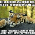 Dont attach anal beads under my car queer