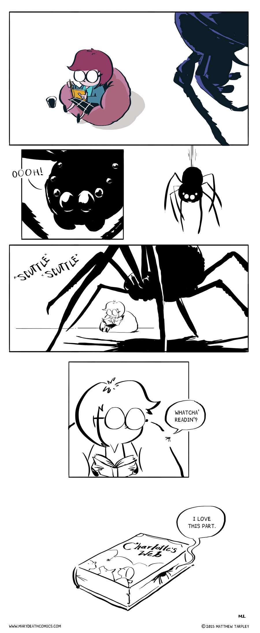 spiders love to read - meme